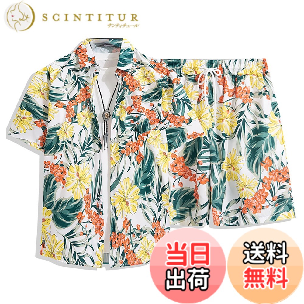 ������̵����[HEGROPH] ��� �����ϥ���ġ��ӡ����ѥ�� ���å� ���� Ⱦµ �ô� ���� ��Ŭ �ϥ磻���� �꥾���� �����奢�� ���� ���� ���åȥ�...