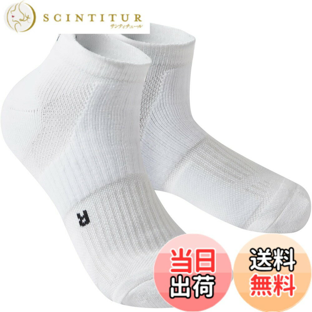 商品情報商品の説明主な仕様 【メリノウール】メリノウールをブレンドした上質素材を使用。自然に熱を放出し、冷やすメリノウールの機能は、冬は暖かく、夏は爽やかに足元をカバー。素肌に着けても柔らかく、贅沢な優しさを感じることができます。【消臭・吸水速乾】吸放湿性と消臭機能に優れたメリノウールは汗によるムレや臭いを軽減し快適な履き心地を提供。機能性と快適性を両立したソックスです。【疲労軽減をサポート】段階着圧設計、足首サポート、つま先・かかと補強、アーチサポート、足裏特殊な立体編、甲のプロテクター、エアーチェンネル、アンクルサポート、優れたクッション性。【アウトドアスポーツに最適】調温効果により、暑い日は蒸れを防ぎ、寒い日は熱を外に逃がさない、寒すぎず暑すぎない絶妙な保温力と優れた防臭抗菌性のオールシーズンソックス。【様々な用途】ハイキングはもちろん、ランニング、トレッキング、バスケットボールなど様々なアウトドアスポーツに幅広くご使用いただけます。