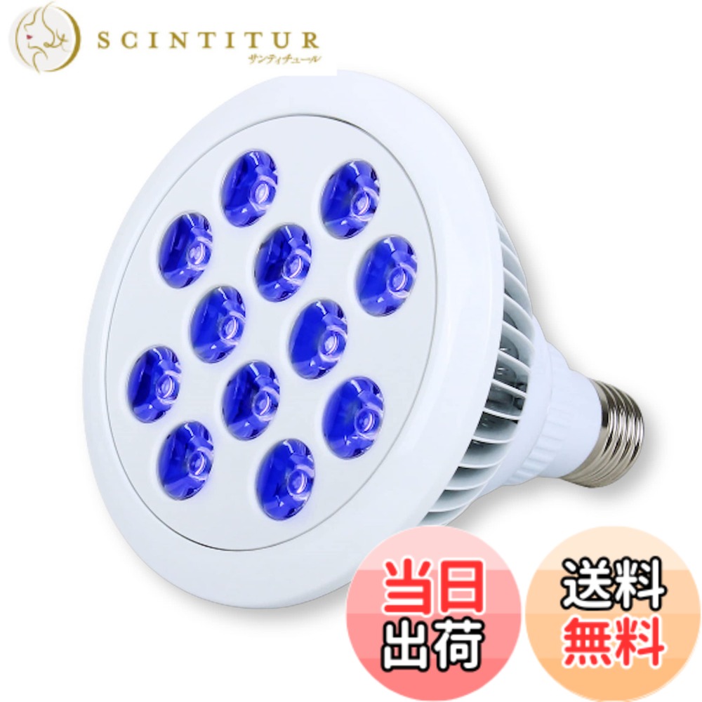 【送料無料】Lezalic LED 電球 スポットライト 24W（2Wx12灯） 水槽 照明 E26 電気 サンゴ 熱帯魚 観賞魚 植物育成 色：電球_ブルー
