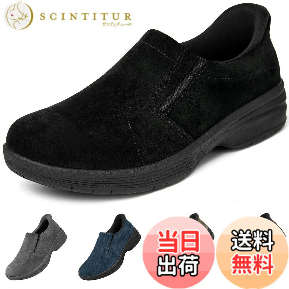 ������̵����[MERPHINE] ��Ω�ä��ޤ���������ܳ� �������� ����åݥ� ���ˡ����� ��� ����åץ��� ���Ȥ鷺�������� ���������󥰥��塼�� ɳ...