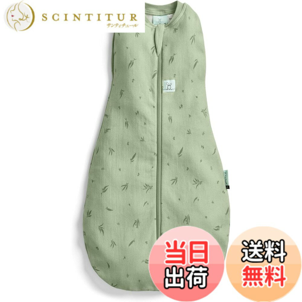 【送料無料】[ergoPouch] エルゴポーチ コクーンスワドル Cocoon Swaddle Bag 【正規品】 おくるみ 色：ウィロー、サイズ：3-6M