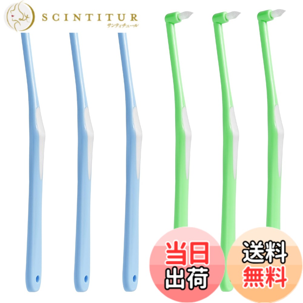 【送料無料】DXTECHPRO ワンタフトブラシ 部分磨き 奥歯用 矯正用 歯間ブラシ 入りやすい 歯間清掃 歯科用 歯ブラシ 色：6本入 2色 (3本ブルー＋3本グリーン)