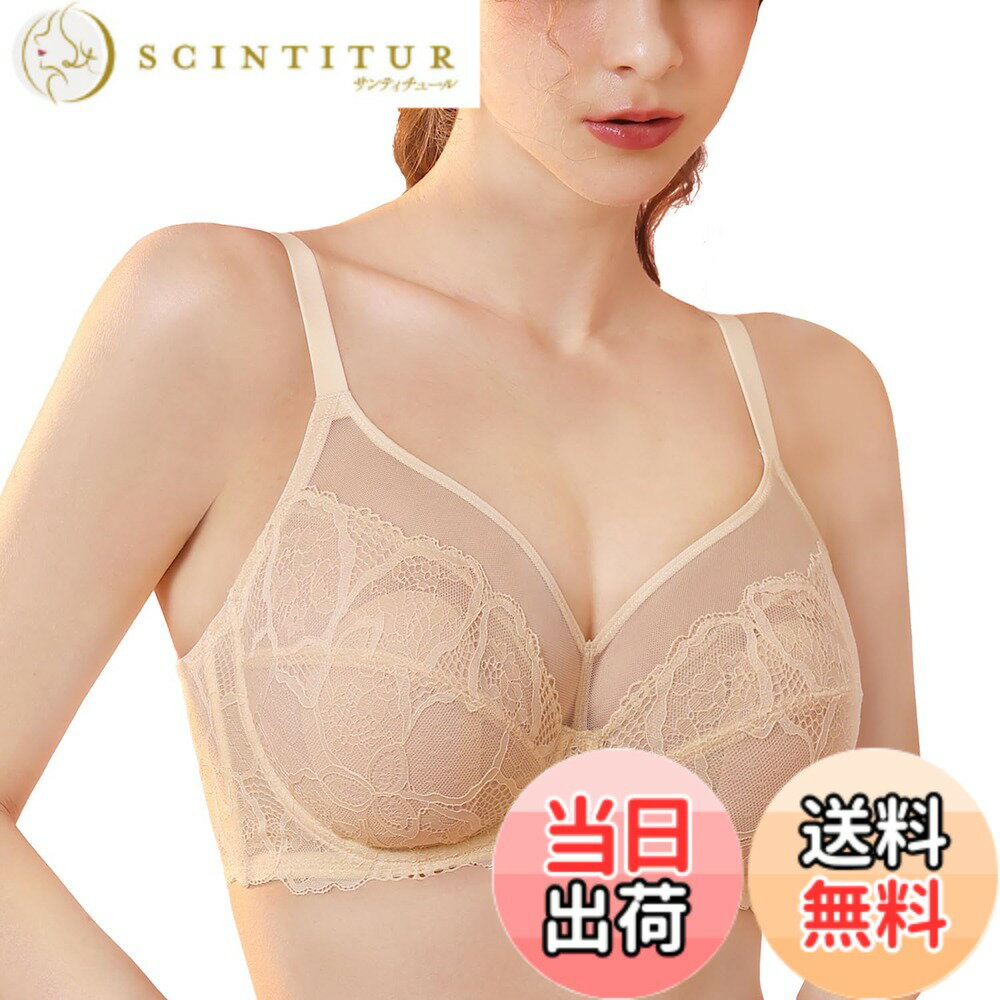 ������̵����[DOBREVA] �֥饸�㡼 �礭�������� �졼�� �������롼 ���� �磻�䡼���� �ѥå��� ������������ ��������桢������...