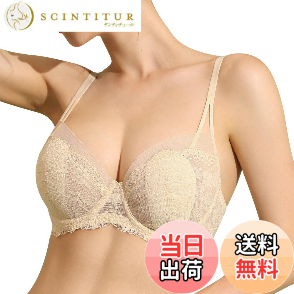 ������̵����[DOBREVA] �֥饸�㡼 �礭�������� �졼�� �������롼 �졼���֥� �����졼�� �磻�䡼���� �ѥå��� �礭����������...