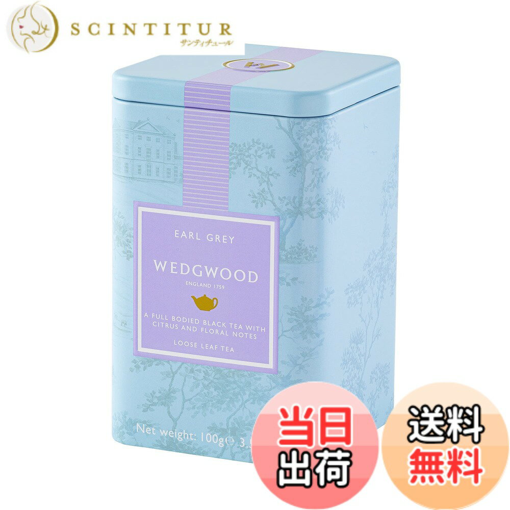 ������̵���ۥ����˥��㡼���꡼���꡼�եƥ����Ƽ� ��������100����� (x 1)