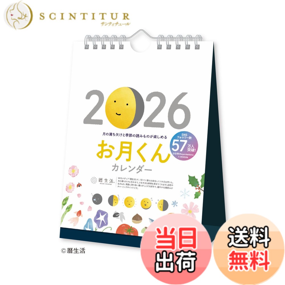 【送料無料】新日本カレンダー お月くん 色：NK8954