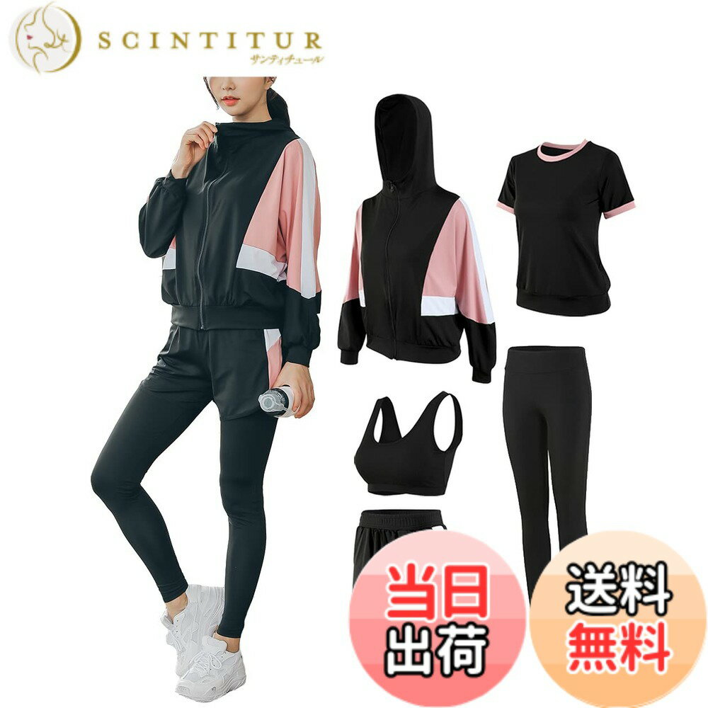 ������̵����[DawnRain] ���ݡ��ĥ����� ��ǥ����� �襬������ �ȥ졼�˥󥰥����� ���˥󥰥����� �岼 5�����å� ������ �̵� �۴�®�� �ե���...