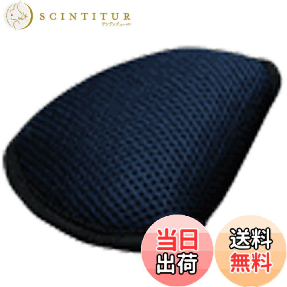������̵����LEZAX(�쥶�å���) TEE-OFF �ѥ������С� �ͥ��ޥ�å��� TOPC-6224 �����ͥ��ӡ�