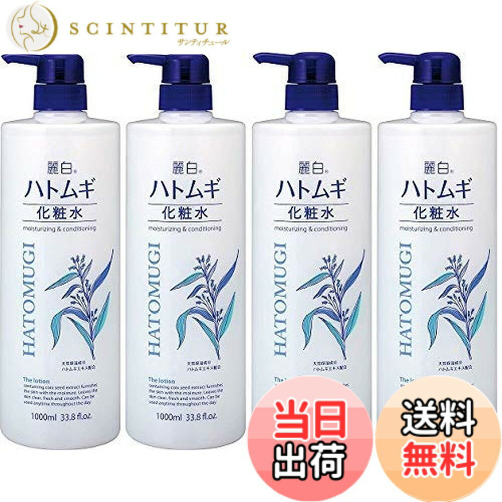 【送料無料】麗白 ハトムギ 化粧水ミストタイプ250ML サイズ：1リットル (x 4)
