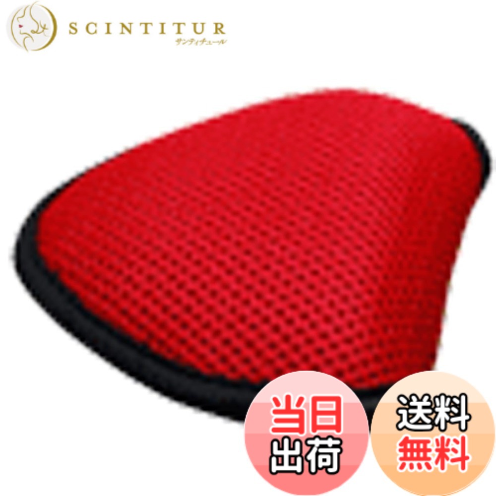 ������̵����LEZAX(�쥶�å���) TEE-OFF �ѥ������С� �ͥ��ޥ�å��� TOPC-6224 ������å�
