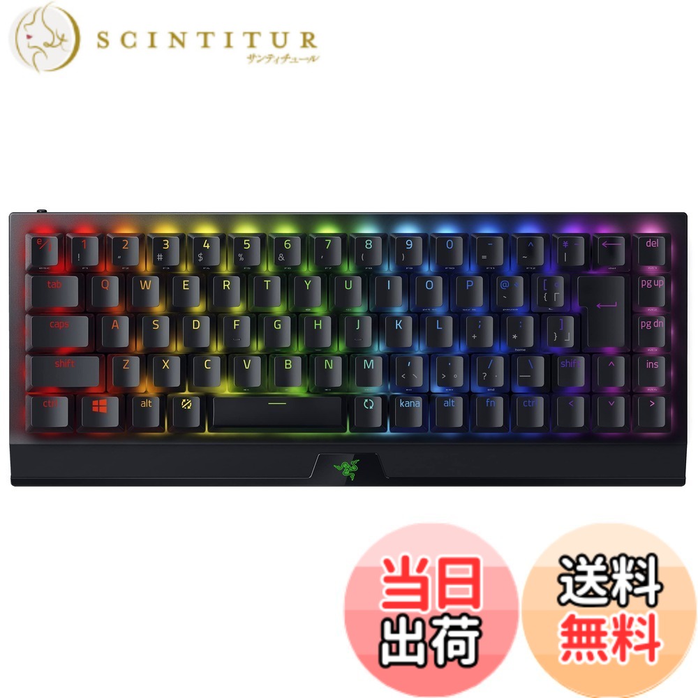 BlackWidow V3 Mini 色：ブラック