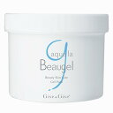 【送料無料】Give&Give (ギブアンドギブ) アクア ラ ビュージェル 500g サイズ:500g