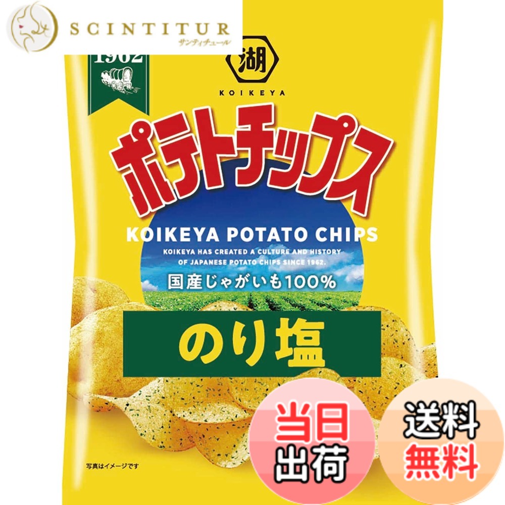 【送料無料】湖池屋 ポテトチップス じゃがいもと塩 60g12袋 色：黄色、サイズ：60グラム (x 12)