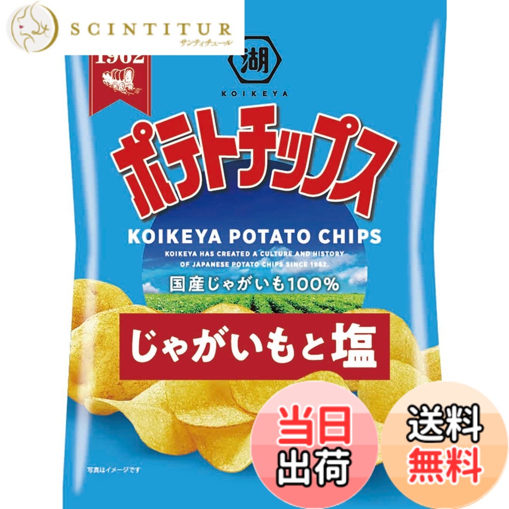 【送料無料】湖池屋 ポテトチップス じゃがいもと塩 60g12袋 色：オレンジ、サイズ：60グラム (x 12)