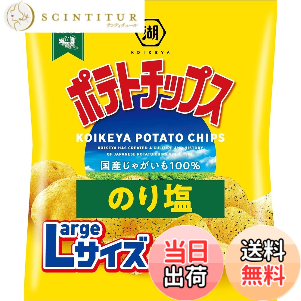 【送料無料】湖池屋 ポテトチップス じゃがいもと塩 60g12袋 色：黄色、サイズ：112グラム (x 12)
