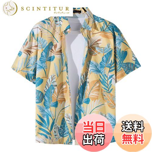 ̵[Moerstar] ϥ  ϥ ǥ ߥ Ⱦµ   ƻҥڥå ä ä  ...