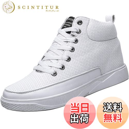 ̵[ziitop] åȥ塼Ŭ 6cm/8cmĹå  ǥ åȥˡ ϥåȥˡ  ...