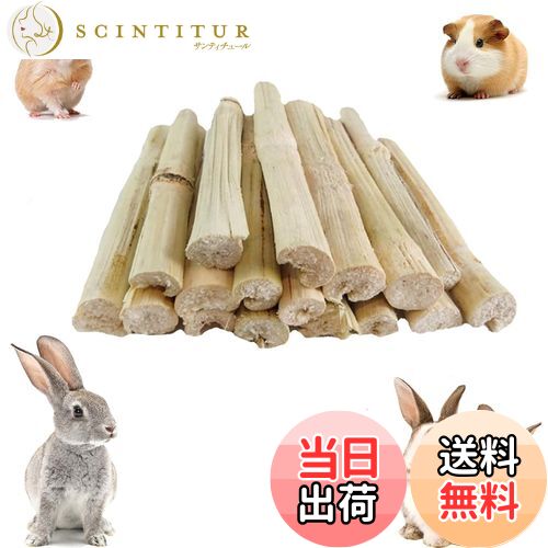 【送料無料】YIBOOOM 100g入りりんご枝 うさぎ おもちゃ かじり ハムスター おやつ チンチラ かじり木 ..