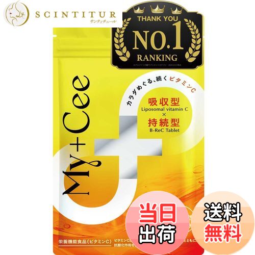 【送料無料】【高濃度× 持続型】 