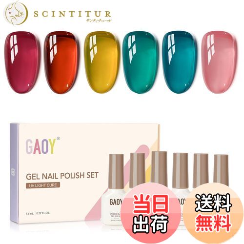 【送料無料】GAOY ジェルネイル 6色セット カラージェル シアーカラー UV・LED対応 ソークオフジェル ..