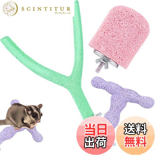 【送料無料】RekiLife モモンガ 爪研ぎ バー 止まり木 フクロモモンガ 小動物 小鳥 ハムスター インコ ..