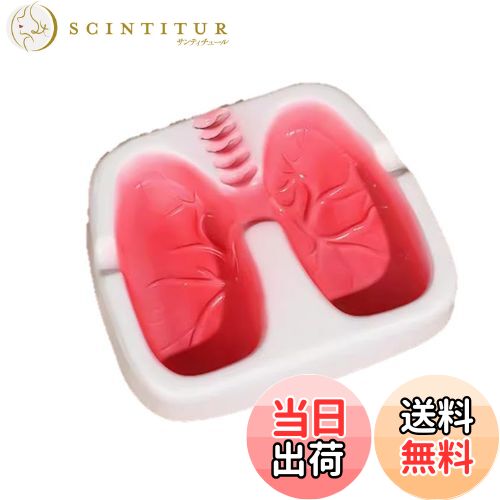 【送料無料】speed maoおもしろい 人間 肺型 灰皿 アッシュトレイ 色：ホワイト