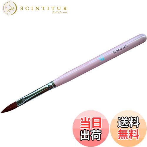 【送料無料】Mirage スリムオーバルブラシ 色：マルチカラー