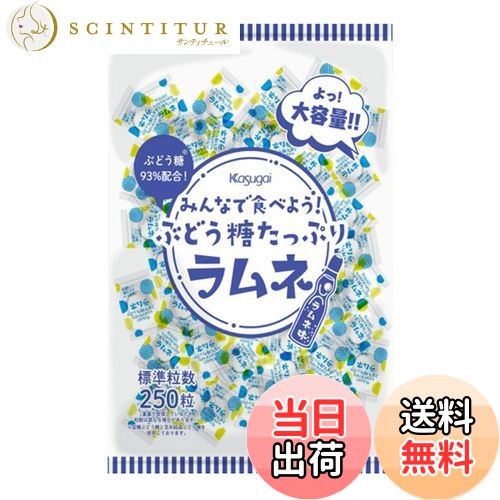 【送料無料】春日井製菓 みんなで食べよう!ぶどう糖たっぷりラムネ 550g パック 色：ホワイト、サイズ：550グラム (x 1)
