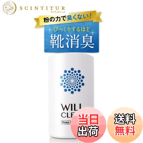 【送料無料】シューズパウダー 日本製 無香料 シューケアキット 靴 消臭 パウダー 色：オフホワイト、サイズ：55グラム (x 1)