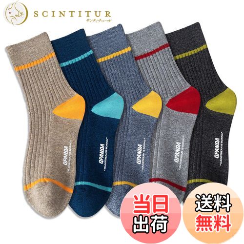 ̵[QPANDA]   ڵ۴ ɽ ʡ5­å ݡĥå 24-28cm AB ſ˥ 奢 ӥͥå ...