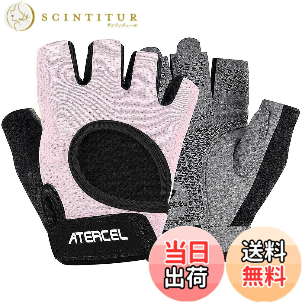 ������̵���ۡ�ATERCEL�۶ڥȥ� �������� �ȥ졼�˥󥰥������� ��� ��ǥ����� �ڥȥ� ���� ���� �������� ���ݡ��ĥ������� ���ߤ� �̵��� �ʹ�...