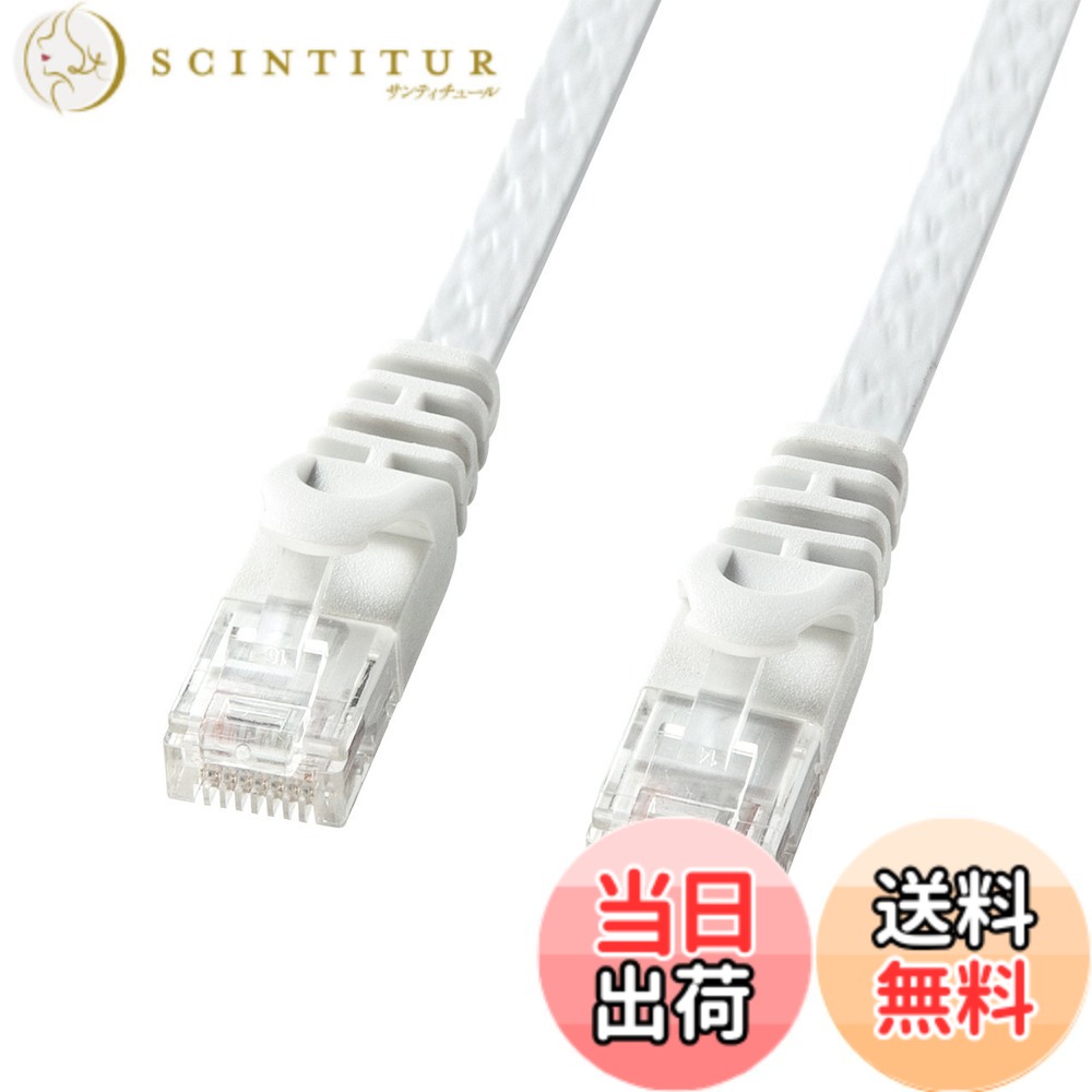 【送料無料】サンワサプライ LANケーブル パソコン、LANハブ対応 CAT6 フラットタイプ 1Gbps/250MHz ギガビット イーサネットケーブル RJ45コネクタ ツメ折れ防止 (10m) ホワイト LA-FL6-10W