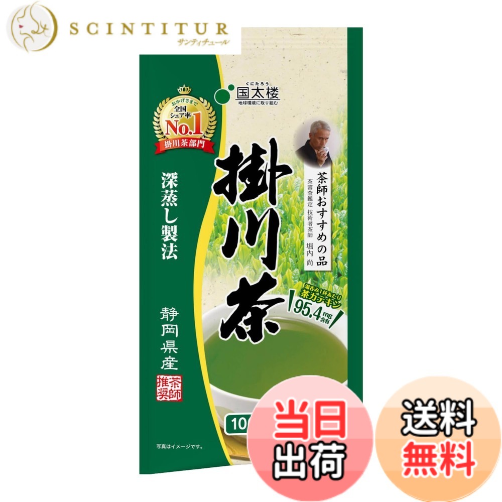 【送料無料】国太楼 深蒸し掛川茶 100g