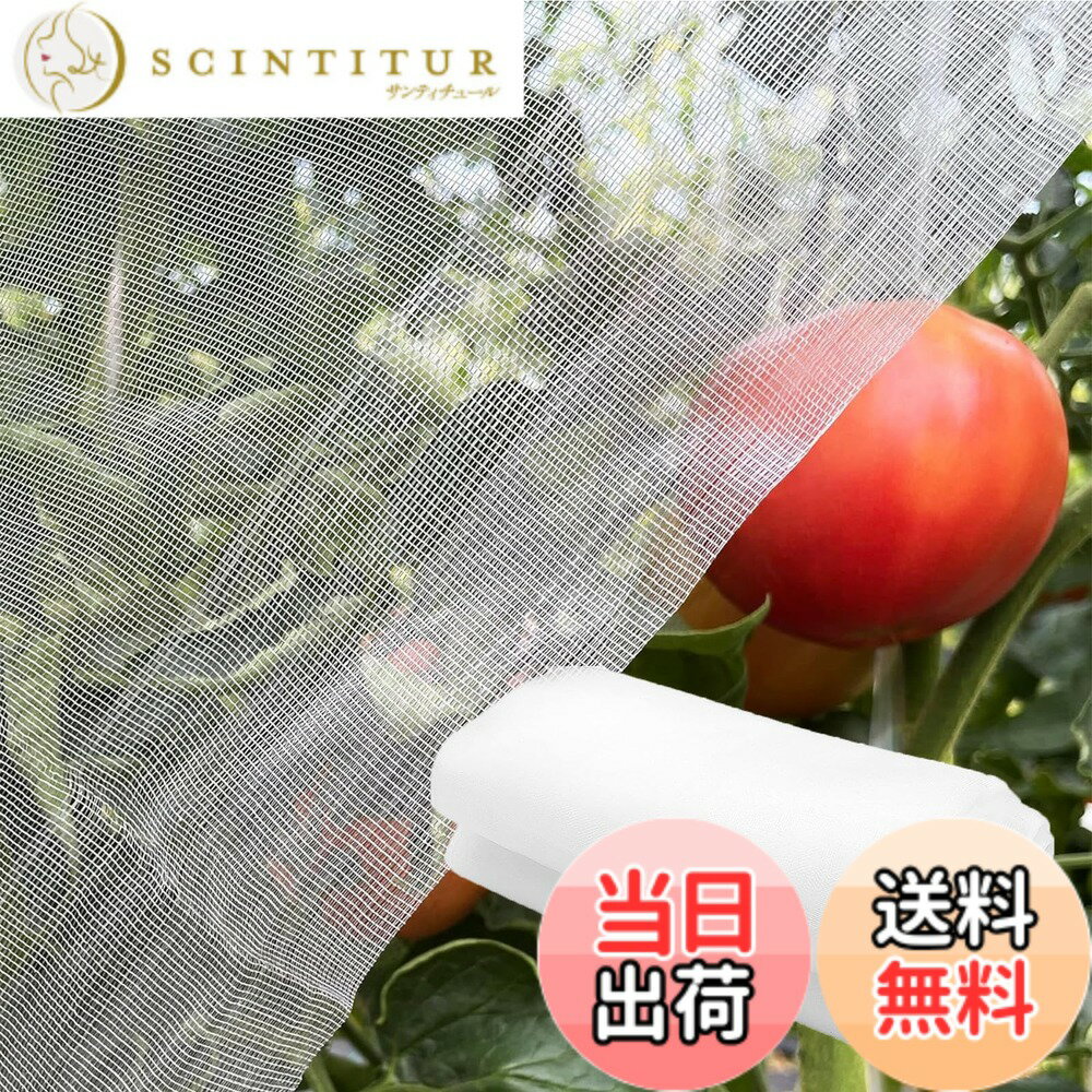 【送料無料】Phyxiul 防虫ネット 防鳥ネット 園芸用ネット 鳥害対策 防鳥防獣網 鳥除け 野菜栽培 家庭菜園 畑 野菜 虫鳥除け網 通気性 虫除けネット 透明色 (2.5mx3m)