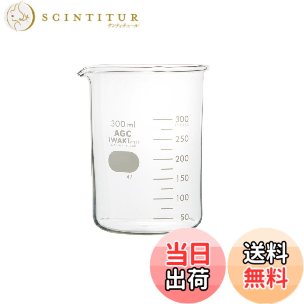 【送料無料】IWAKI ビーカー 300mL 1個 1000BK300