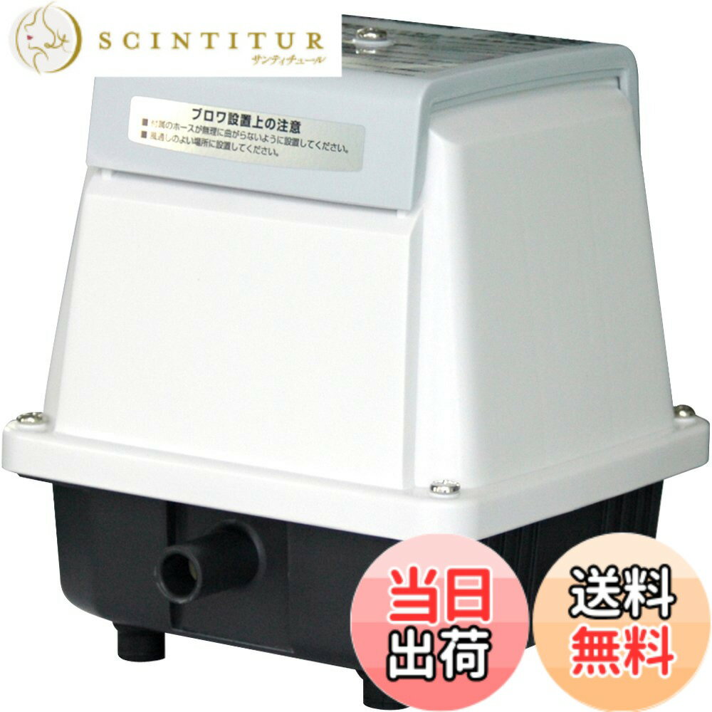 【送料無料】工進(KOSHIN) 浄化槽用エアーポンプ AK-40