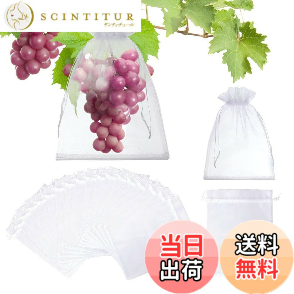 【送料無料】wowjimi 果物袋 60枚セット 3種類のサイズ 防虫ネット 保護バッグ 保護ネット果樹袋 野菜 果物 虫除けネット 鳩よけネット 鳥よけネット 保護メッシュバッグ 鳥よけ 防虫 通気性 光透過性 耐久性 自然成長