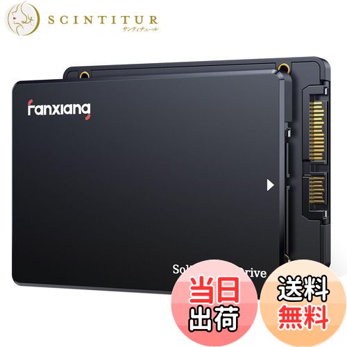 ƥ塼㤨̵֡fanxiang SSD 256GB ڶȳо SATA3.0 6Gb/s 2.5 7mm 3D NAND  ¢ssd ɹ 560MB/s [ ̥ǥ롧256GB/512GB/1TB/2TB/4TB ] SATAIII PS4ưǧѤ/HDD/®/顼/ǡݸǽ//Ѿ׷/ѿư/̵ פβǤʤ4,916ߤˤʤޤ