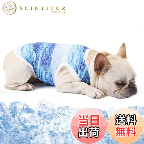 【送料無料】Hakona 犬服 夏 クール ひんやり 冷感ベスト ブルー 冷却ベスト メッシュ 夏服 薄手 涼しい 吸水速乾 超軽量 熱中症対策 暑さ対策グッズ 日焼き防ぐ お出かけ お散歩 クーリングスーツ 小中型犬用 猫用 XL