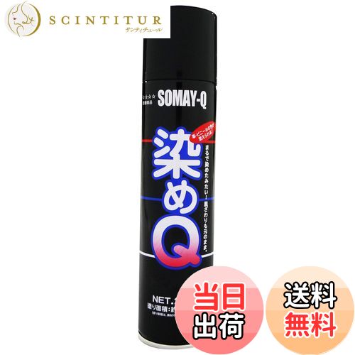 【送料無料】染めQテクノロジィ(Somay-Q Technology) 染めQエアゾール ブラック 264ML 油彩