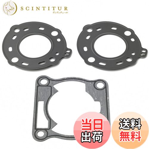 【送料無料】デイトナ(Daytona) ボアアップキット用 ガスケットセット(補修パーツ) TZR50R/RZ50 13137