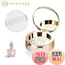 【送料無料】TVETE パウダーケース ミニ 携帯 コンパクトパウダーケース 蓋付き 【6g】 金色 ミニ パフ付き 鏡付き ミラー付き フェイスパウダー ケース ルースパウダー ケース ゴールデンシェル 小さく パウダー容器 旅行 小分け 携帯便利