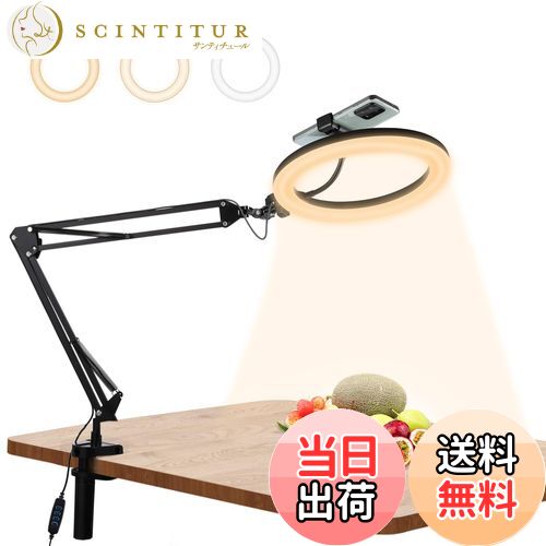 【送料無料】PULUZ LEDリングライトアーム式 26cm 俯瞰撮影用ライト スマホスタンド 料理撮影照明ライ..