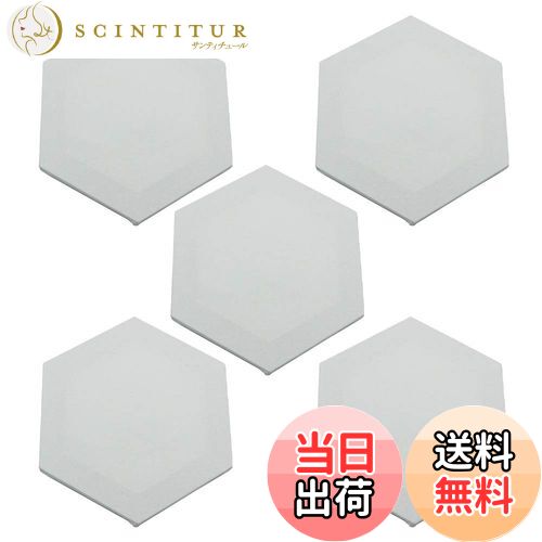 ̵۳Meister ߥ˥Х ĥꥭХ ϻѷ 5祻å 20cm   ̲  