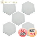 【送料無料】楽Meister ミニキャンバス 張りキャンバス 六角形 5枚セット (20cm) 画材 アクリル画 水彩画 油絵 油彩