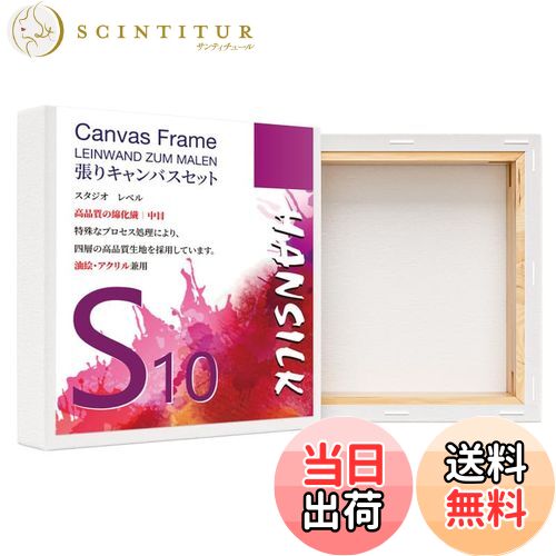 ̵HANSILK ĥꥭХ S10 Х   ܡ  ̡ 100mm*100mm 4祻å