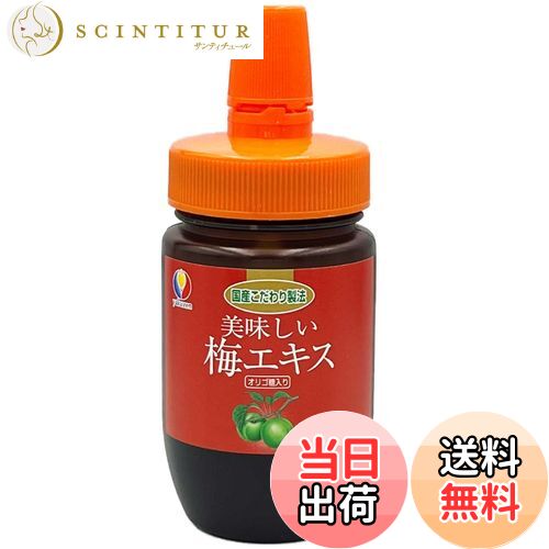 【送料無料】ヤクゼン 国産こだわり製法 美味しい梅エキス オリゴ糖入り 130g｜使いやすいチューブタイプ (1本)｜ドリンクや料理にも｜ほんのり甘く美味しい味わい