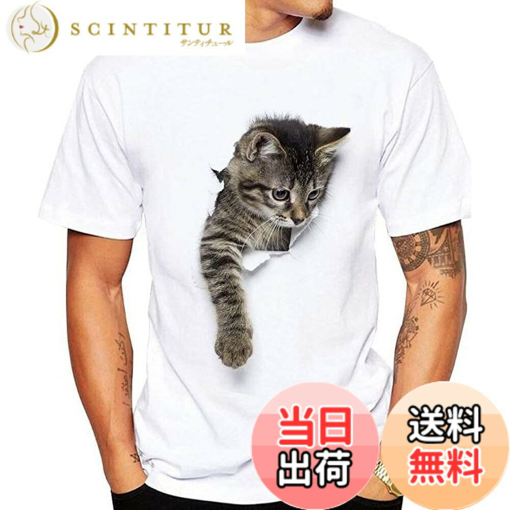 【送料無料】[aspersio] [アスペルシオ] 半袖 ねこ プリント柄 猫柄 ねこ柄 シャツ プリント ユッタリ ワンポイント クルーネック ティシャツ tシャツ 半袖t カワイイ ナチュラル カットソー 可愛い かわいい キャラクター ヨガ オモシロイ オモシロ カワリガラ ユルメ