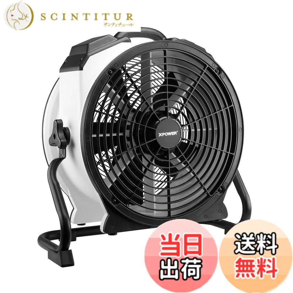 【送料無料】XPOWER FC-420 ホワイト18インチ内蔵密閉型モーター多機能プロフェッショナル ...