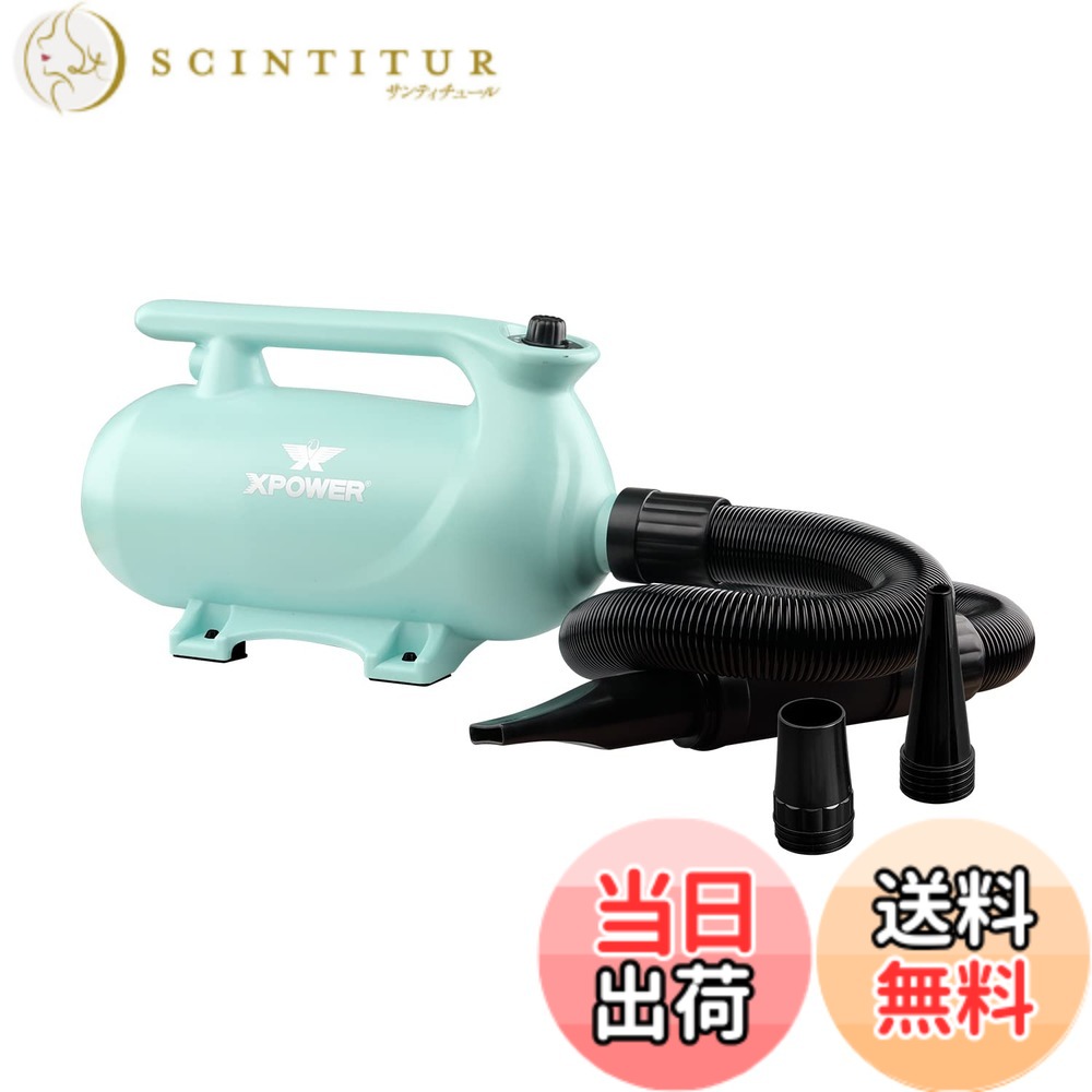 商品情報商品の説明XPOWER B-163 はダブルモーターを搭載した多機能・高コストパフォーマンスのペットドライヤーで、可変速調整による強力送風で短時間でペットの水分を除去します。独特の防振構造により風切り音を大幅に低減し、静音運転でペットの不安やストレスを軽減します。3 種類の交換可能ノズルが付属しており、ペットの毛の長さや部位に合わせて最適な乾燥方法を選べるだけでなく、自由に可愛らしいヘアスタイルを創ることも可能です。洗浄可能なフィルターがモーターを確実に保護し、耐熱性ハンドルにより安全かつ安心して使用できます。ライトブルー、ライトグリーン、ライトピンクの 3 色から選べるデザインに加え、人間工学に基づいた形状のハンドルと 2.4m の柔軟なホースが装備されており、耐久性と使い勝手を両立させています。家庭でのグルーミング、ペットオーナー、モバイルグルーマーなど、幅広いシーンで活躍します。主な仕様 強力送風・高速脱水：ダブルモーターと可変速機能により、強力な気流を発生させ、ペットの毛に含まれる水分を最短時間で除去。長時間の乾燥作業を大幅に省力化します。低騒音設計：防振構造により運転音を抑制し、静音環境で乾燥作業が可能。ペットの聴覚を保護し、騒音による不安やストレスを防止します。多機能・高便利性：3 種類のノズル（広角ノズル、集中ノズル、コームノズル）が付属し、全身乾燥から局部の細かい乾燥まで対応。ヘアスタイリングにも活用できます。安全・耐久性：断熱素材を使用したケースは過熱を防止し、洗浄可能なフィルターがモーターを保護して製品寿命を延ばします。エルゴノミクス設計のハンドルは長時間使用でも疲れにくく、2.4m の柔軟ホースは操作性を向上させます。多様な選択・用途：ライトブルー、ライトグリーン、ライトピンクの 3 色からお好みを選べます。家庭用グルーミングはもちろん、プロのモバイルグルーマーやペットショップでの使用にも最適です。